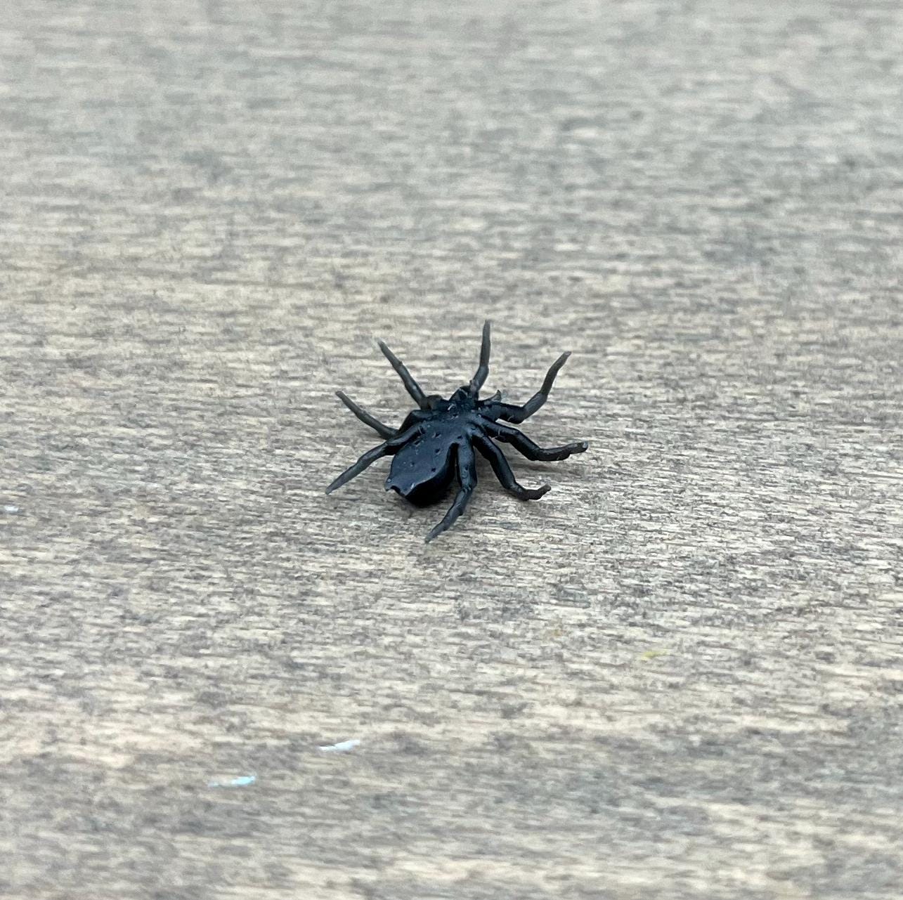 Tarantula Spider. Miniature 1:12 or 1/6 Scale. Miniature Realistic Plastic Creature