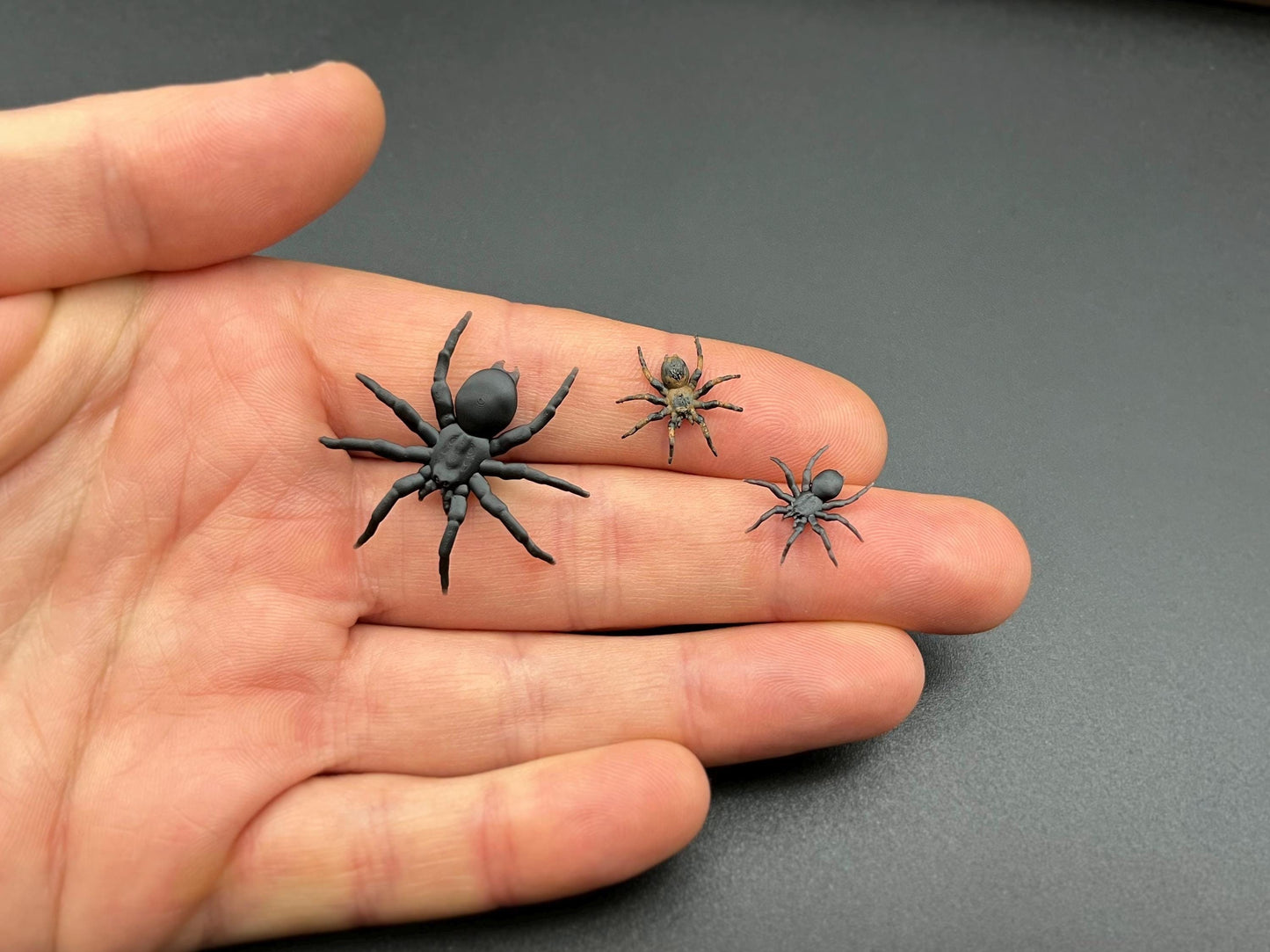Tarantula Spider. Miniature 1:12 or 1/6 Scale. Miniature Realistic Plastic Creature