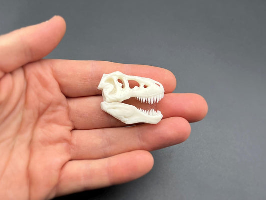 Mini T-Rex Skull. Realistic Replica