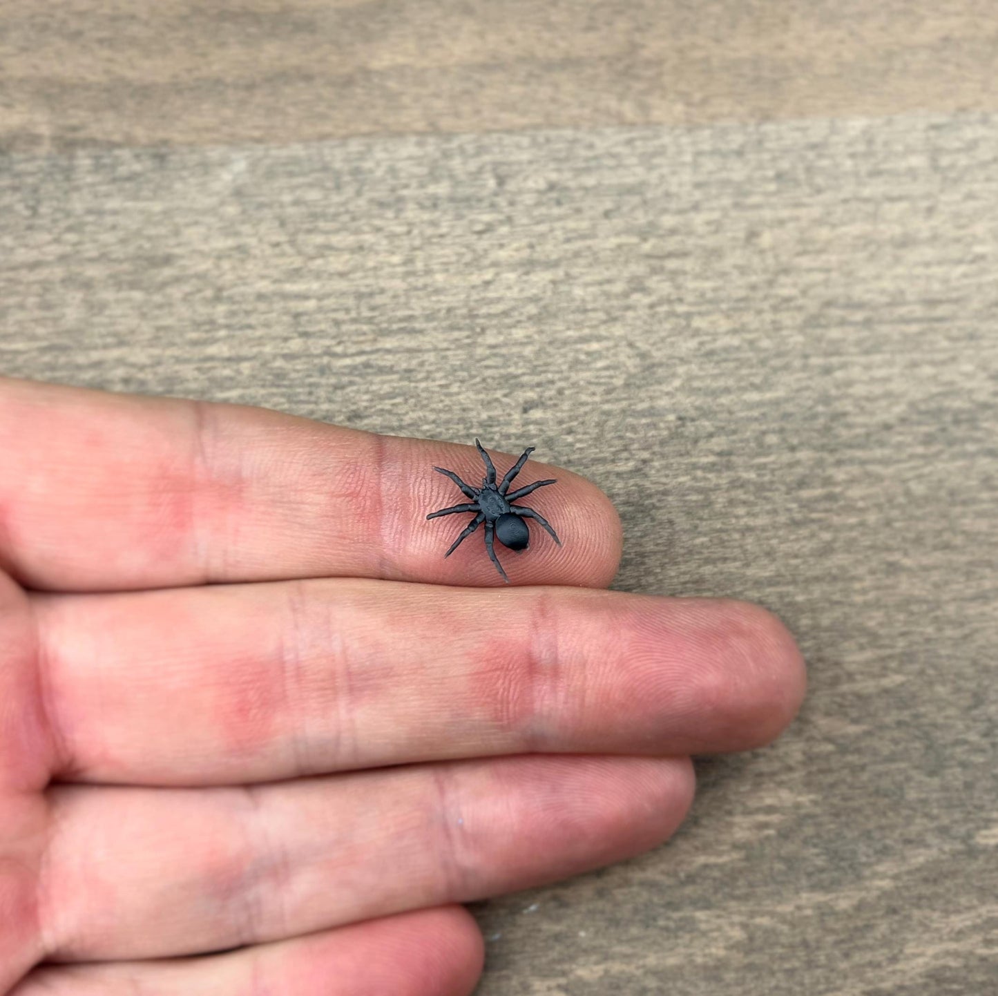 Tarantula Spider. Miniature 1:12 or 1/6 Scale. Miniature Realistic Plastic Creature