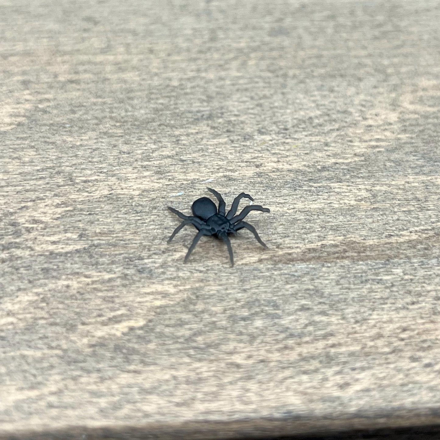 Tarantula Spider. Miniature 1:12 or 1/6 Scale. Miniature Realistic Plastic Creature