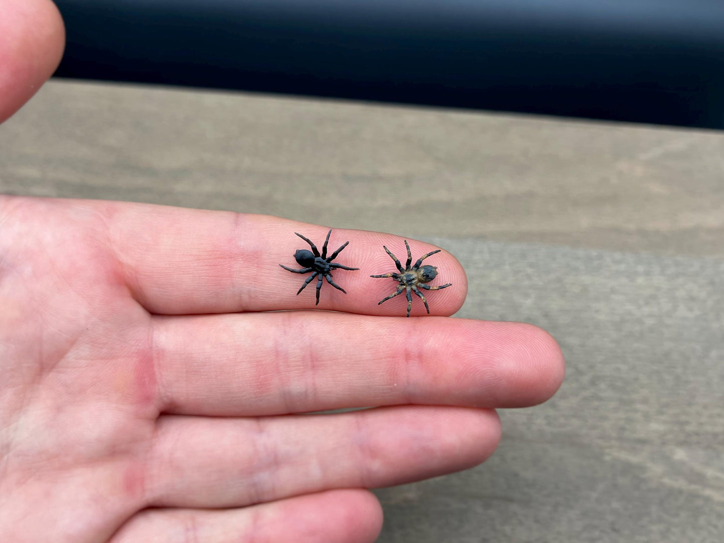 Tarantula Spider. Miniature 1:12 or 1/6 Scale. Miniature Realistic Plastic Creature