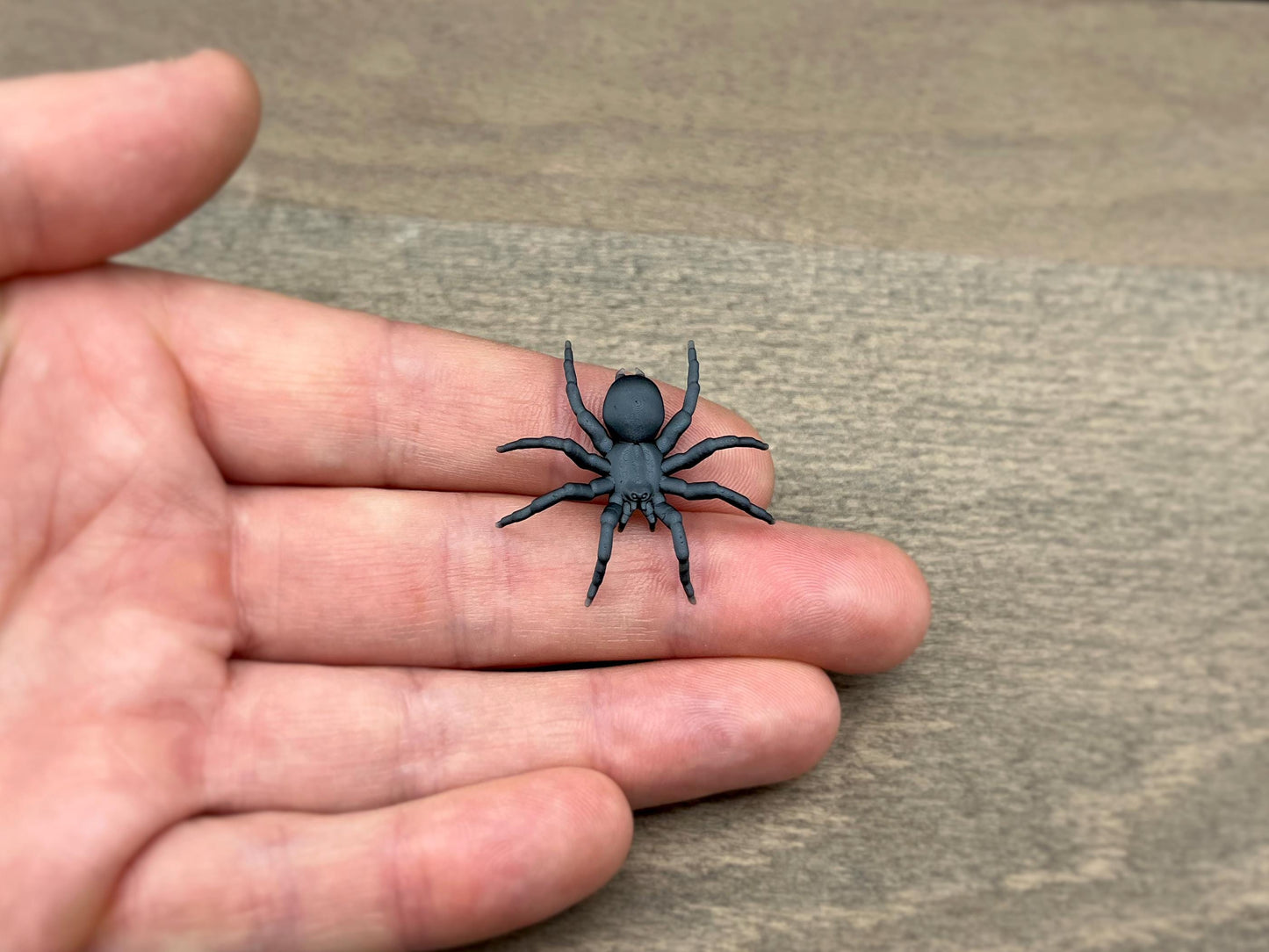 Tarantula Spider. Miniature 1:12 or 1/6 Scale. Miniature Realistic Plastic Creature