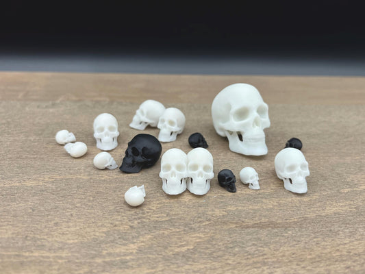 Miniature Human Skulls. Realistic Plastic Replicas