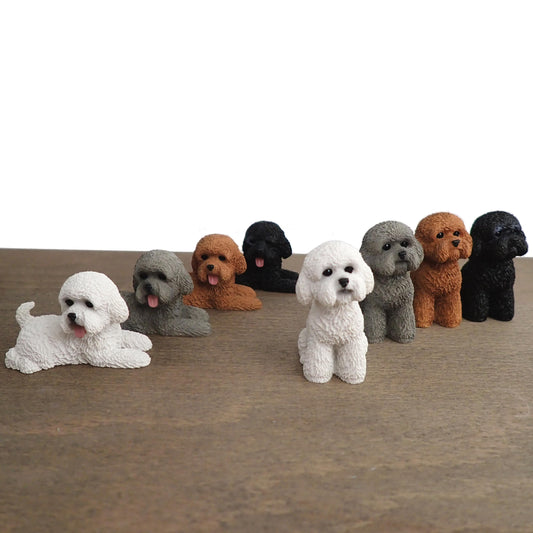 Miniature Poodle Dog Models. 1:6 Scale. Sat or Laying Down