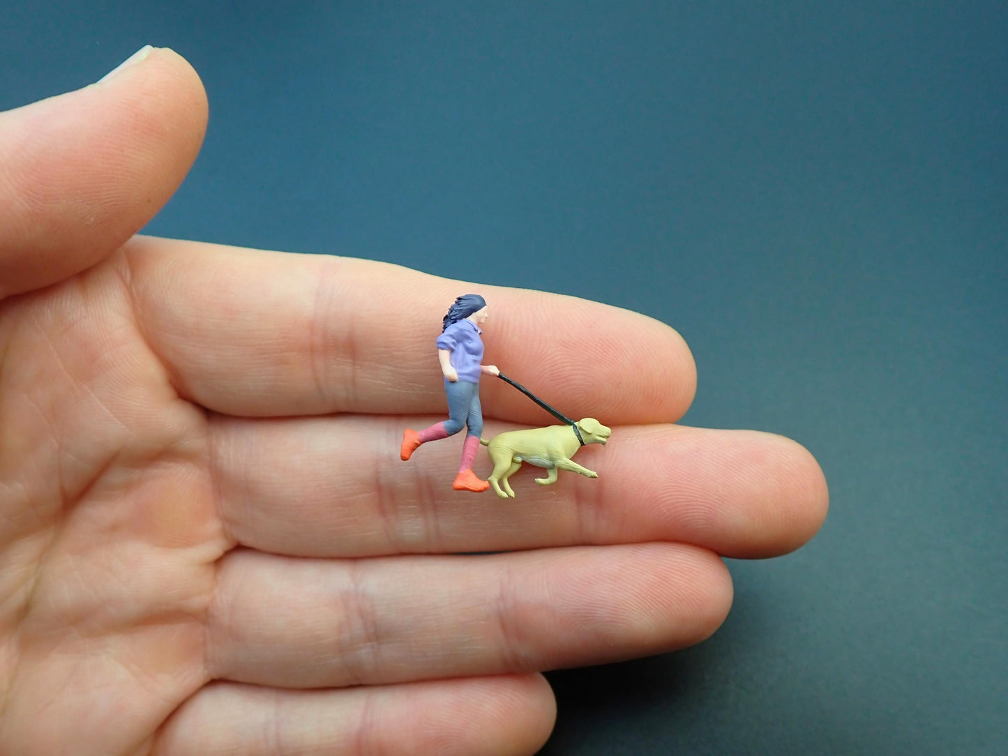 Miniature Pets and Pet Owners. 1:64 Scale. Hand-Painted Realistic Figures
